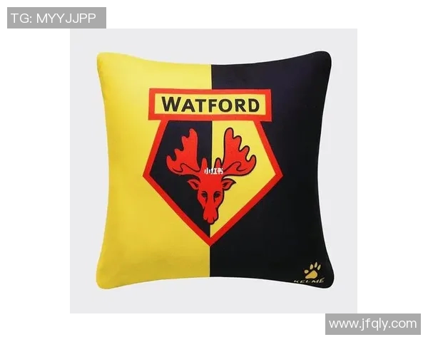 足球明星创意靠枕设计欣赏与图片大全分享让你爱上每一位球星的独特魅力